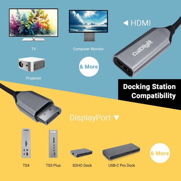 Infographic image showing the DisplayPort to HDMI Adapter's compatibility with devices.